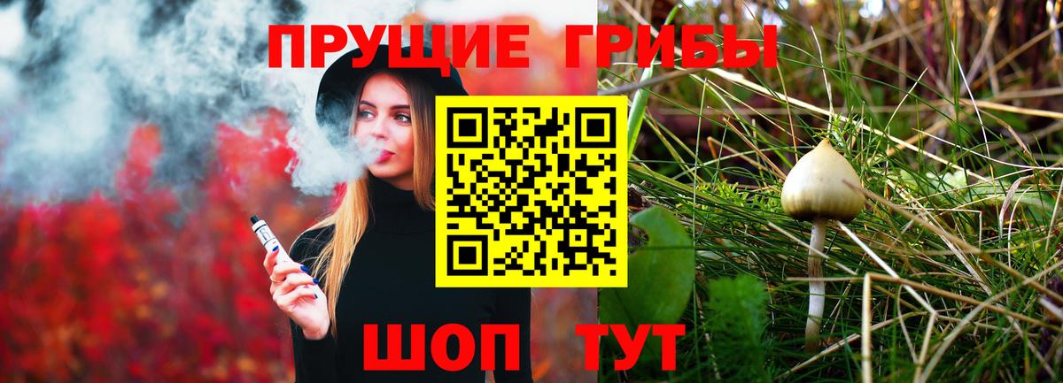 Казань  Псилоцибиновые грибы мицелий  Вход с VPN 